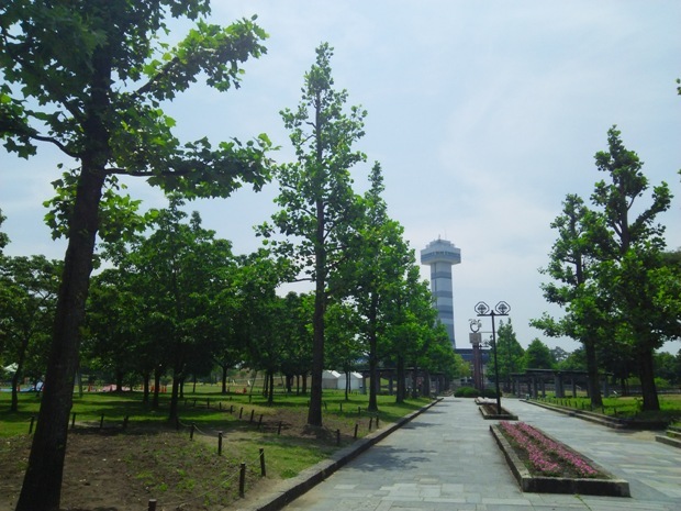 e0033713_18474123.jpg