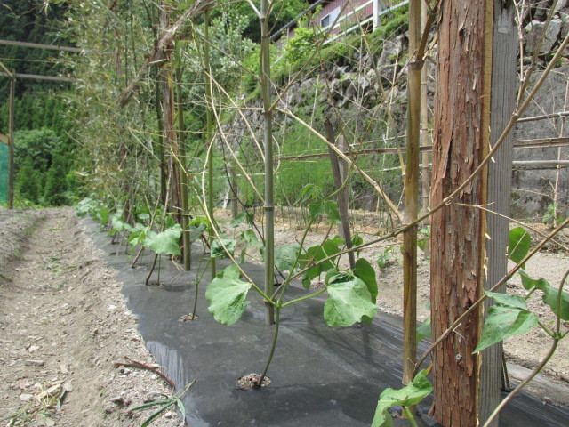 f0341616_16282437.jpg