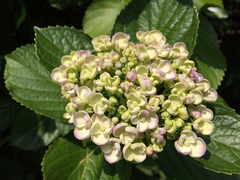 b0253622_222839.jpg
