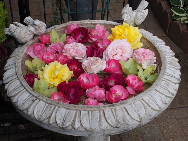 c0247529_001431.jpg