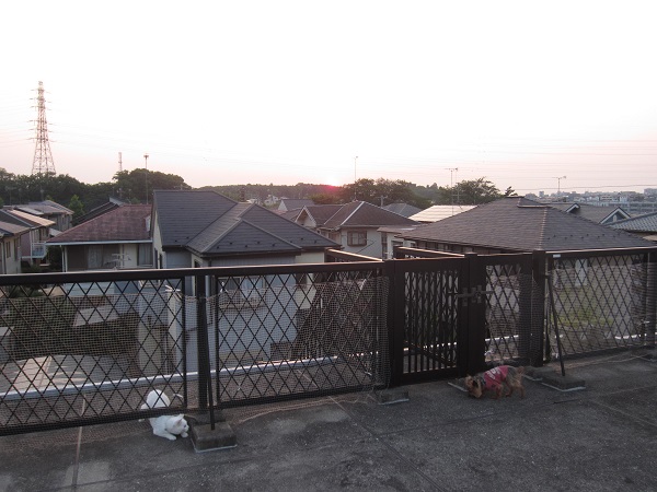 f0002833_19472213.jpg