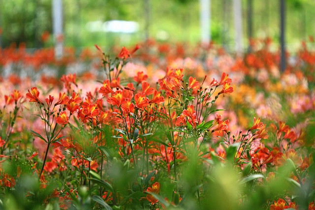a0242438_195757100.jpg