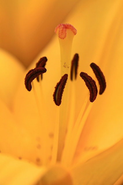 a0242438_19581686.jpg