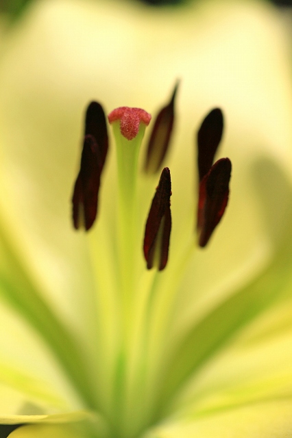 a0242438_19585171.jpg