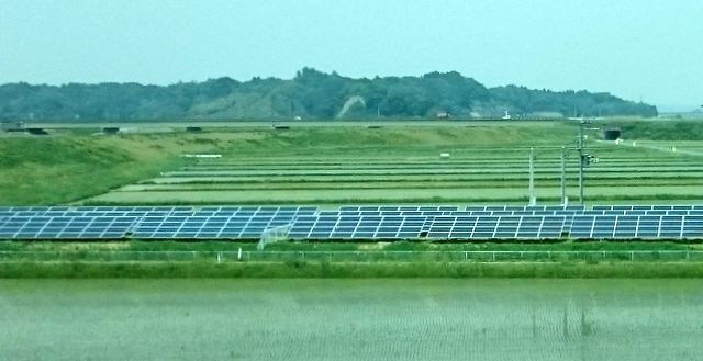 b0075140_11572532.jpg