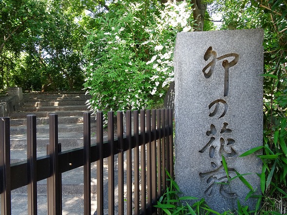b0299042_11403661.jpg