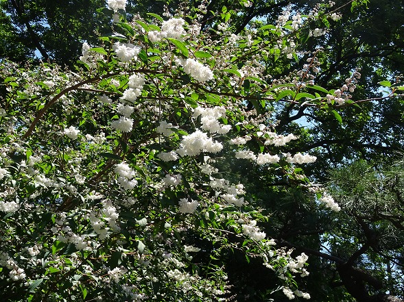 b0299042_11443654.jpg