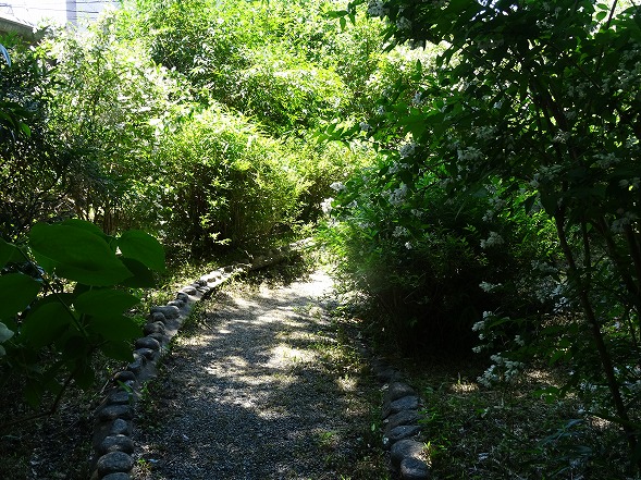 b0299042_11444655.jpg