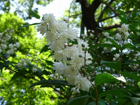 b0299042_1145116.jpg