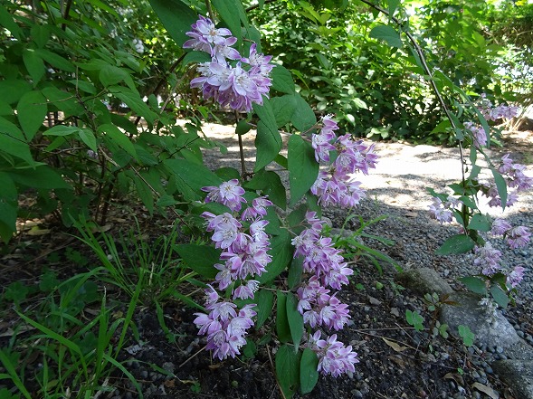 b0299042_1145215.jpg
