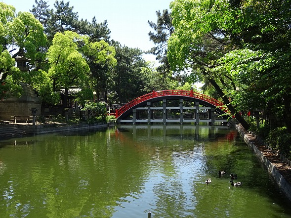 b0299042_11463989.jpg