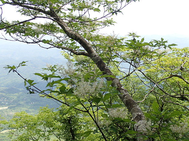 f0214649_4322417.jpg