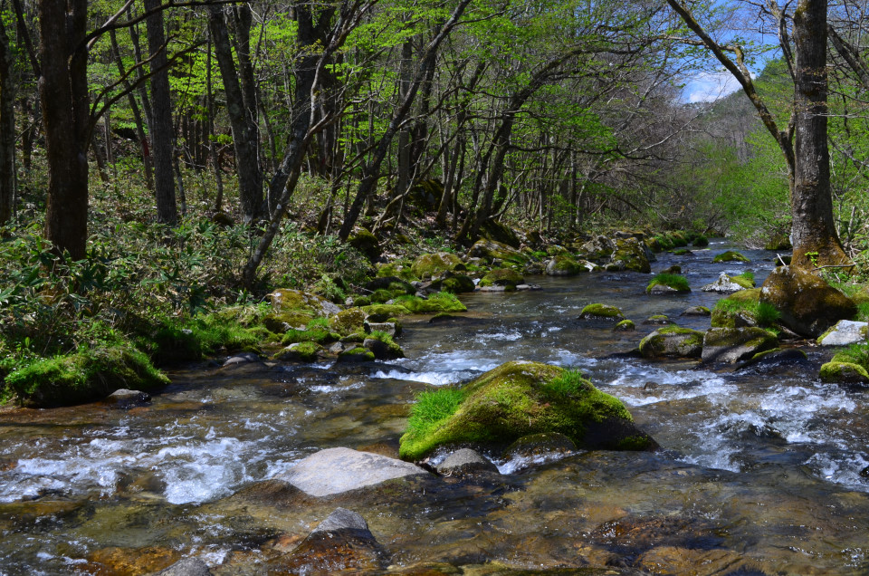 d0283357_193233.jpg