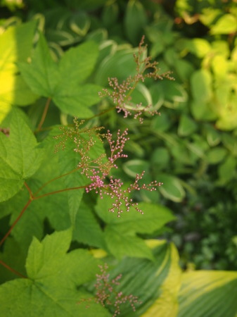 b0246758_20214467.jpg