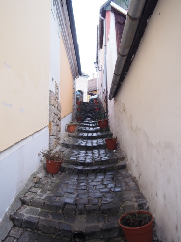 c0351060_10491113.jpg