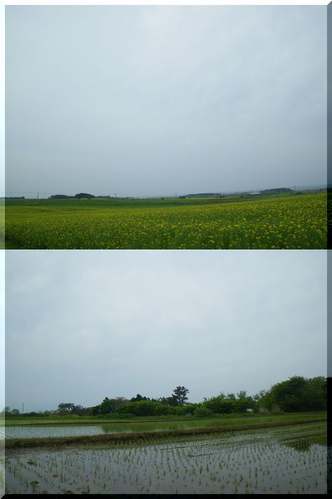 c0024861_2211078.jpg