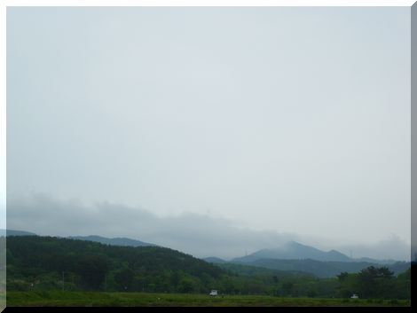c0024861_22142080.jpg