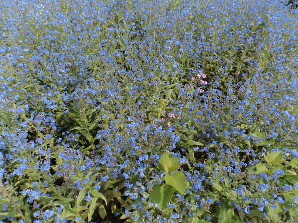 a0112066_10111441.jpg