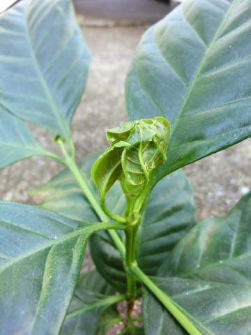 e0045768_2234929.jpg