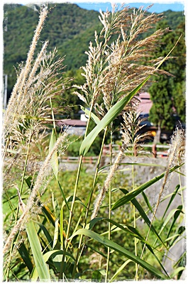 f0360974_09321571.jpg