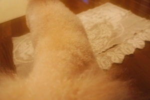 f0360974_10123796.jpg