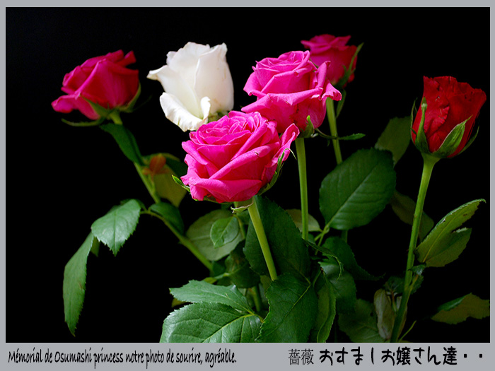 c0009981_15275752.jpg