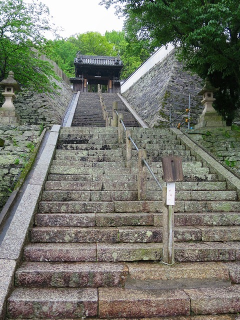 b0326483_11442214.jpg