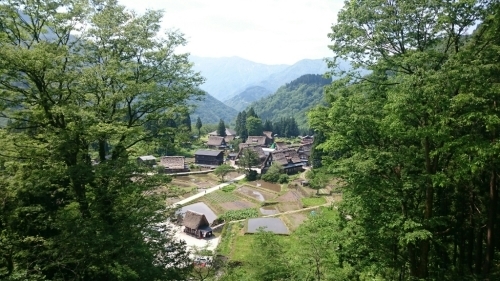 d0101385_12073285.jpg