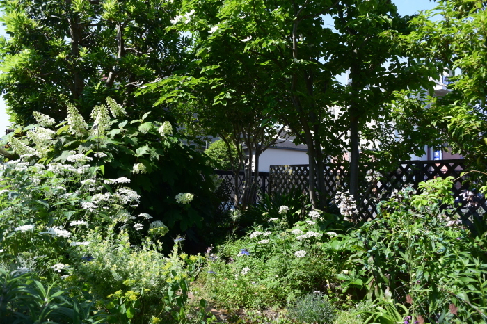 b0230589_11120163.jpg