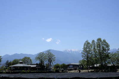 f0103797_20123888.jpg