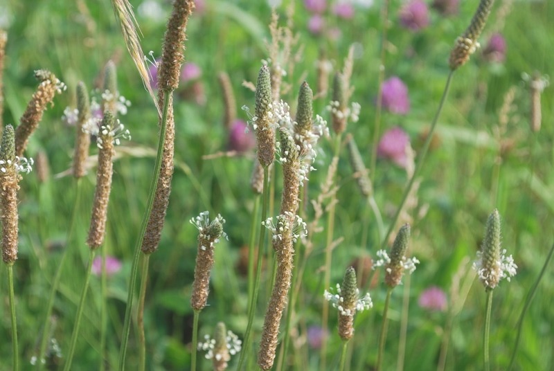 e0025300_17353080.jpg