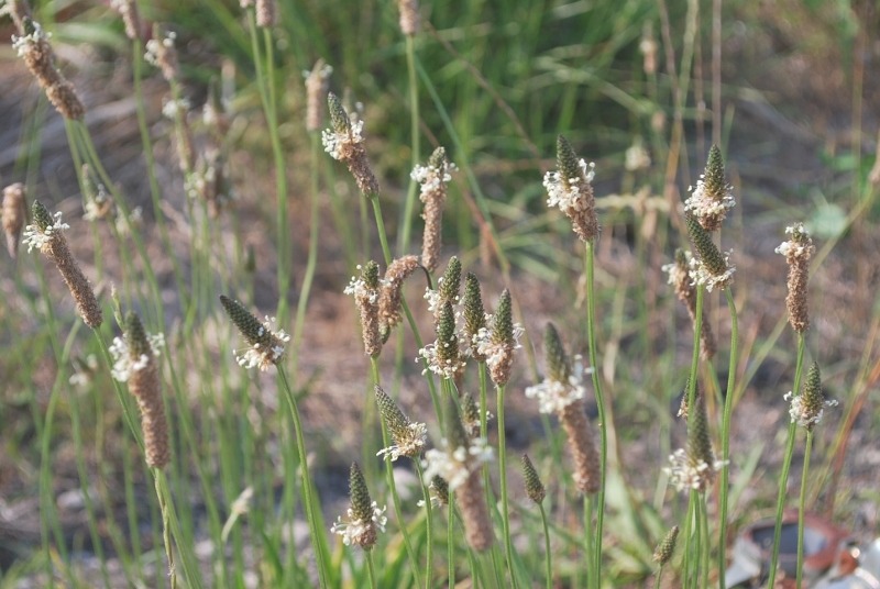 e0025300_17395032.jpg