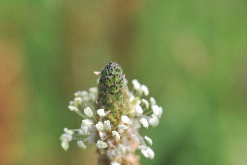 e0025300_1740728.jpg