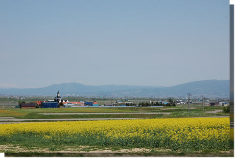 a0114514_1843856.png