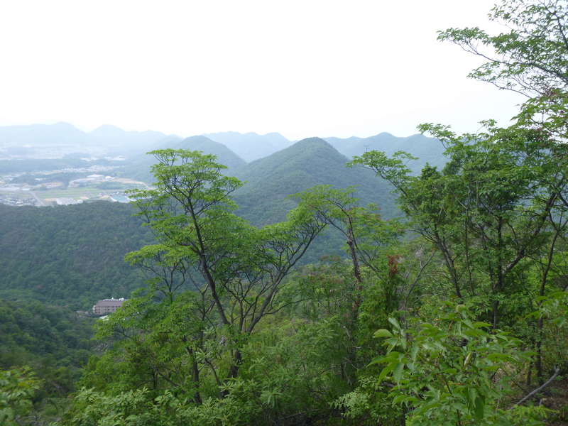d0170615_10195023.jpg
