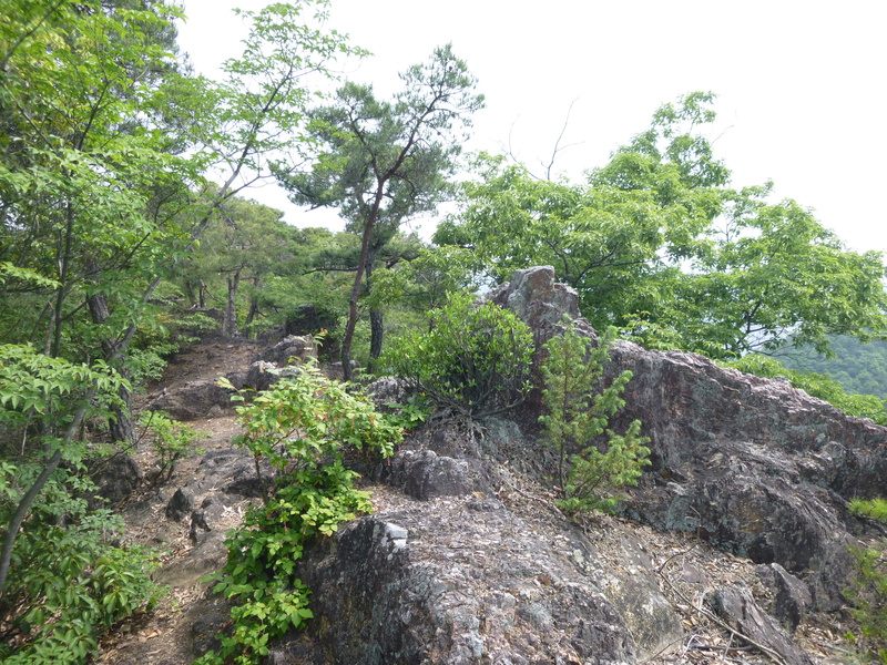 d0170615_10201454.jpg