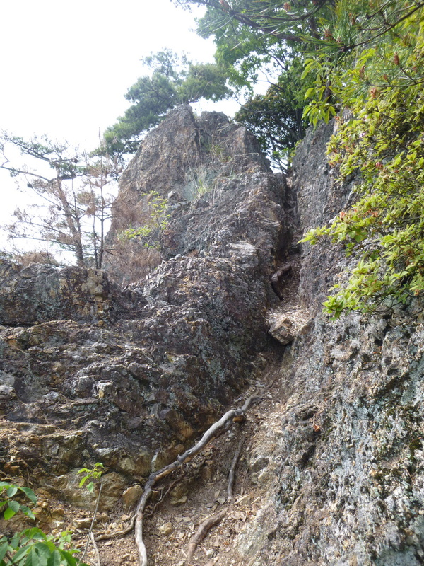 d0170615_1020404.jpg