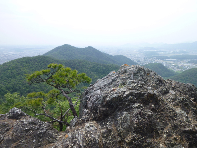 d0170615_10205579.jpg