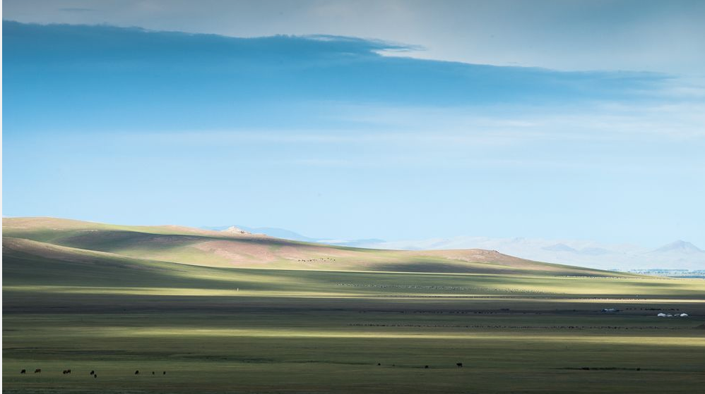 b0150018_18465995.png