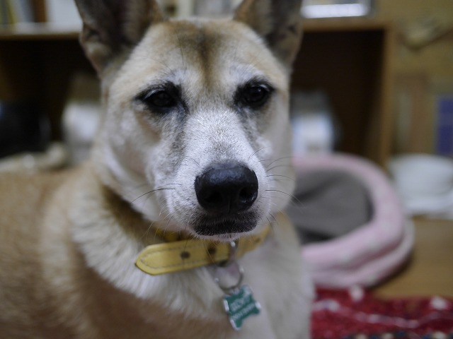 f0282319_523306.jpg