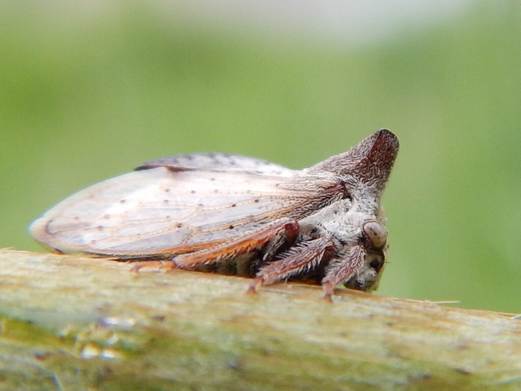 f0118332_2256320.jpg