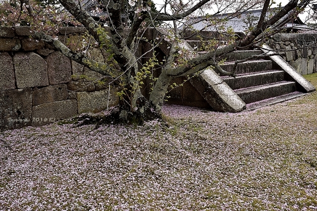 a0212036_05455504.jpg
