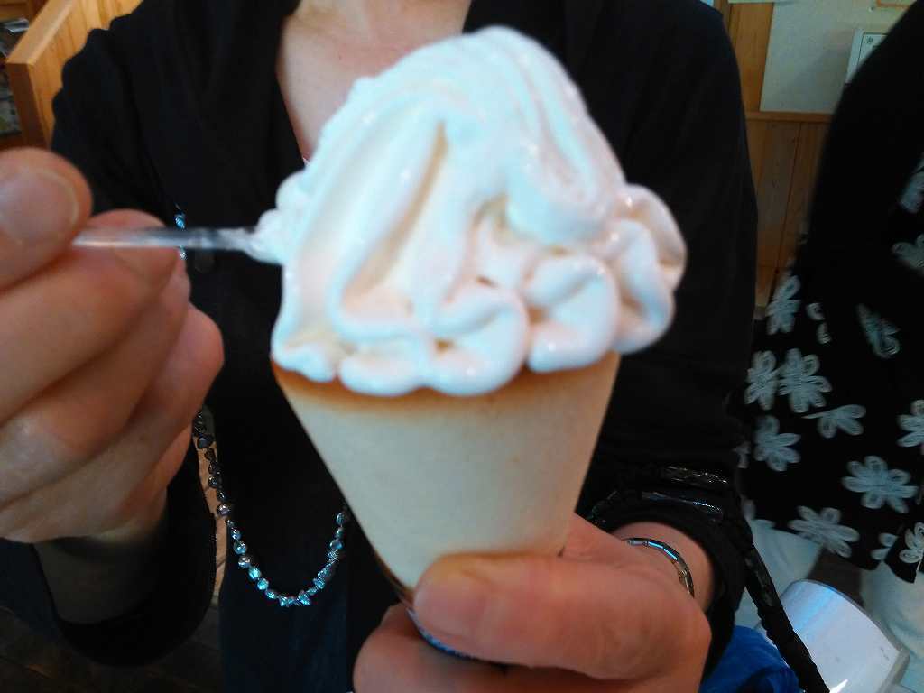 f0208737_08243523.jpg
