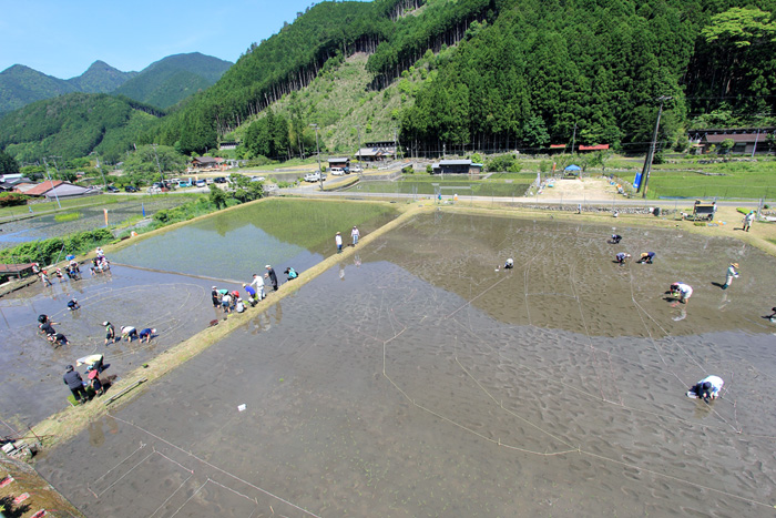 e0083238_21364283.jpg