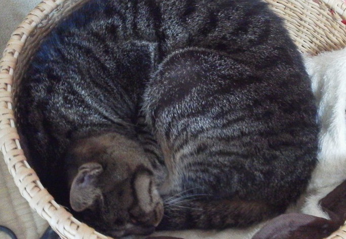 b0075239_1022548.jpg