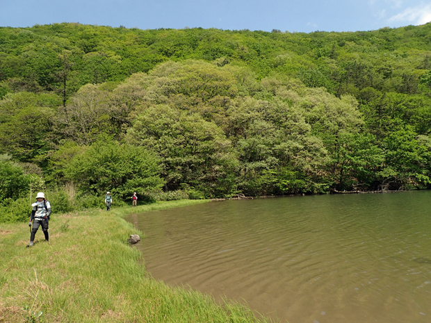 f0214649_5214167.jpg