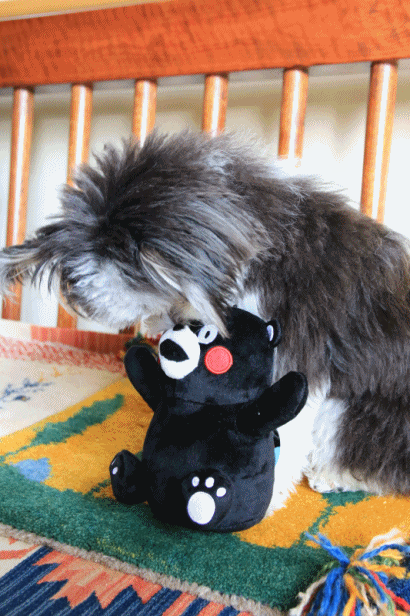 c0145250_10555587.gif