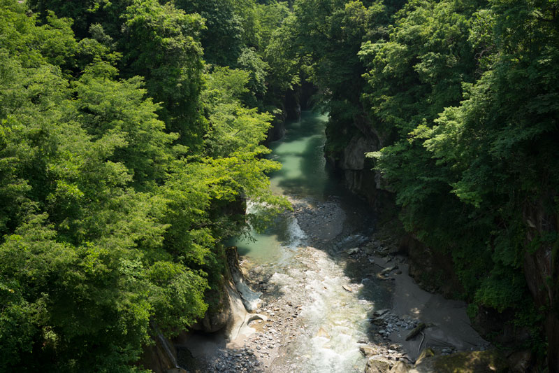 d0342652_5333820.jpg