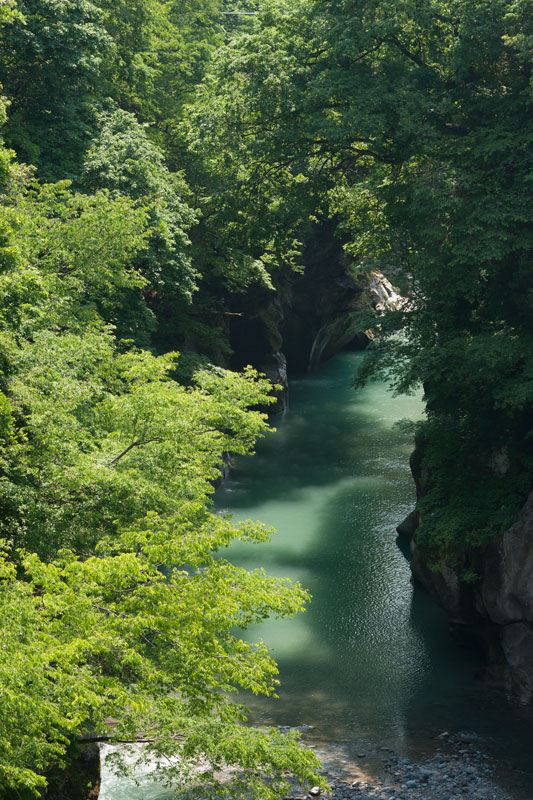 d0342652_5351261.jpg