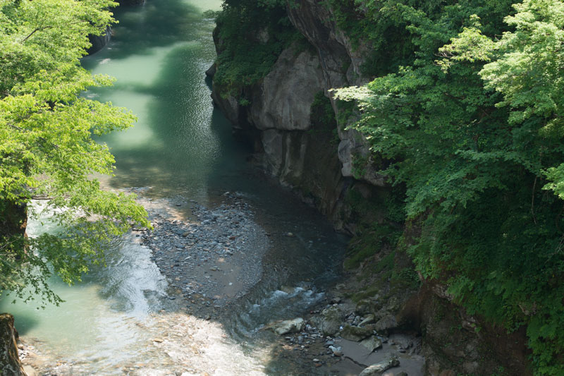 d0342652_5353325.jpg